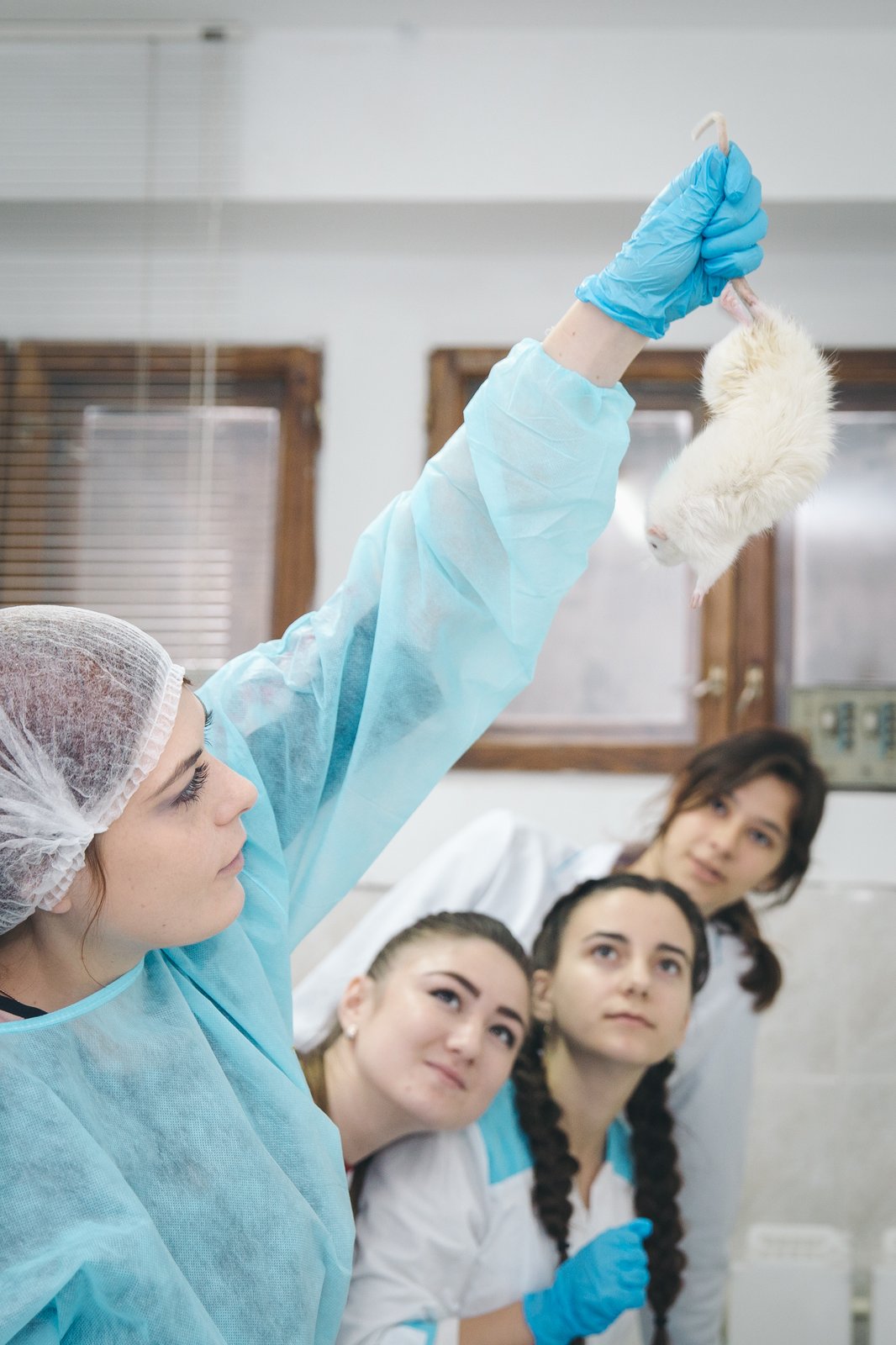 Topi da laboratorio utilizzati nella ricerca medica (foto d'archivio illustrativa)