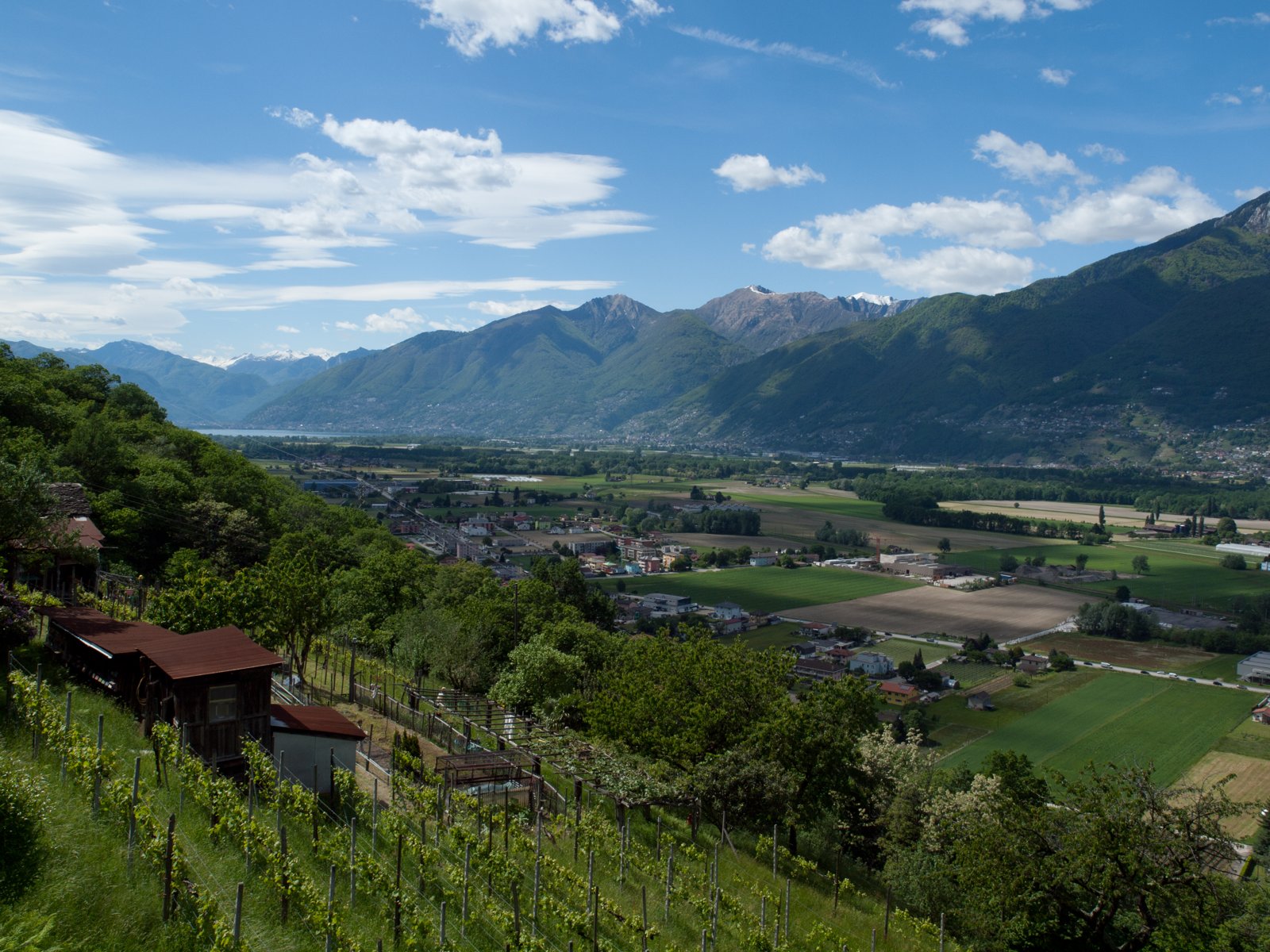 Vista dal Monte Ceneri verso il Piano di Magadino e Locarno (foto d'archivio)
