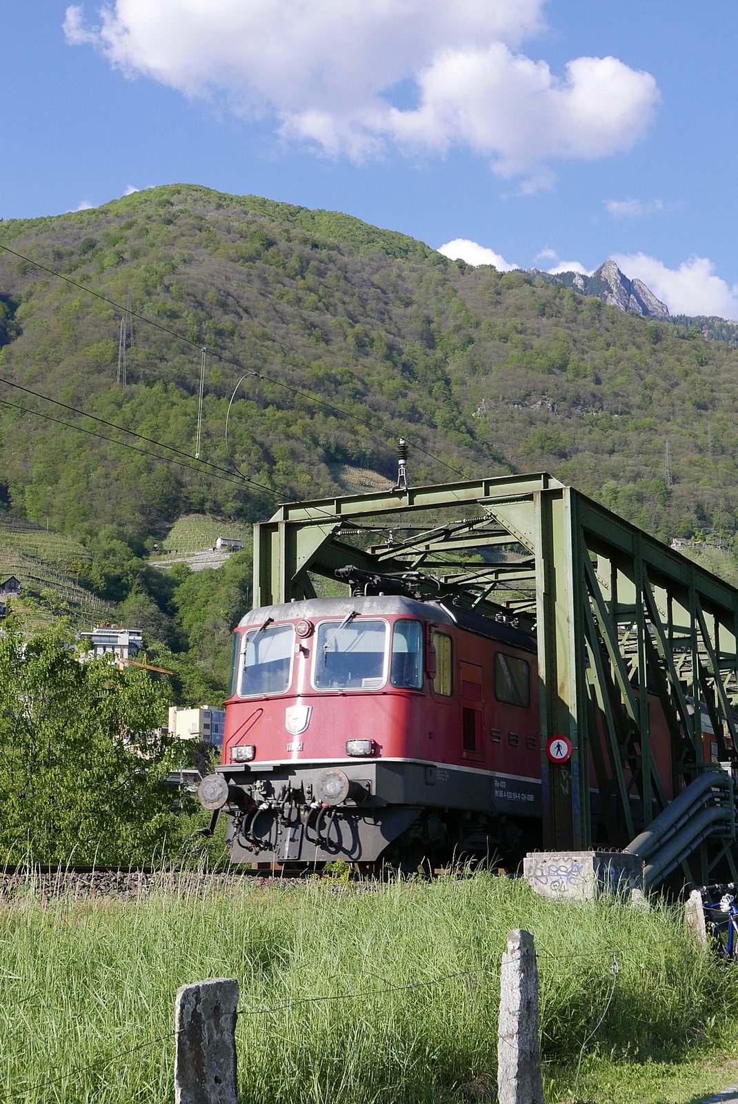 Un treno in transito nella zona di Tenero (foto d'archivio). In zona Tenero si registrano forti disagi alla viabilità sulla A13 per la chiusura del tunnel Mappo-Morettina.