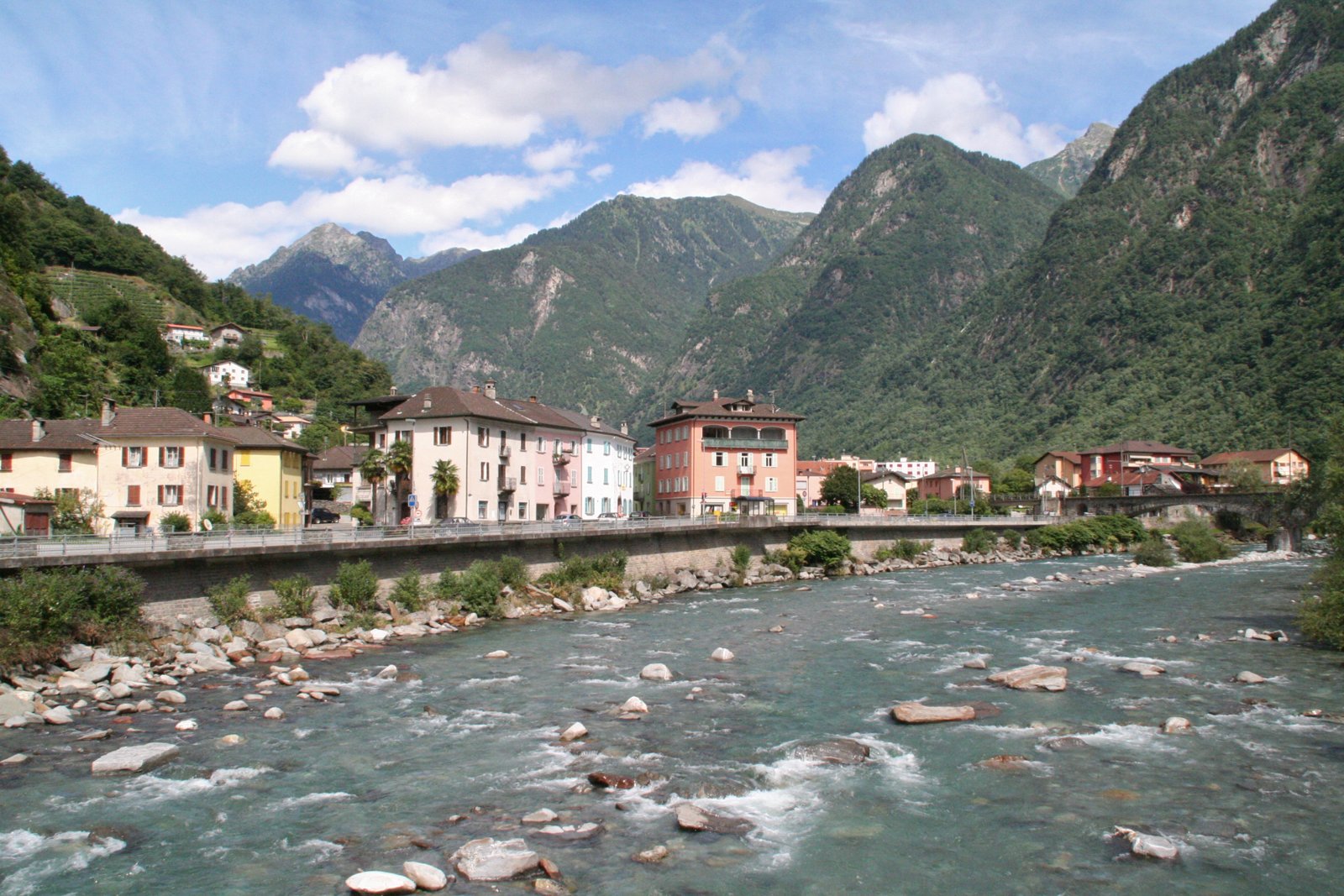 Vista panoramica del comune di Roveredo e del fiume Moesa.