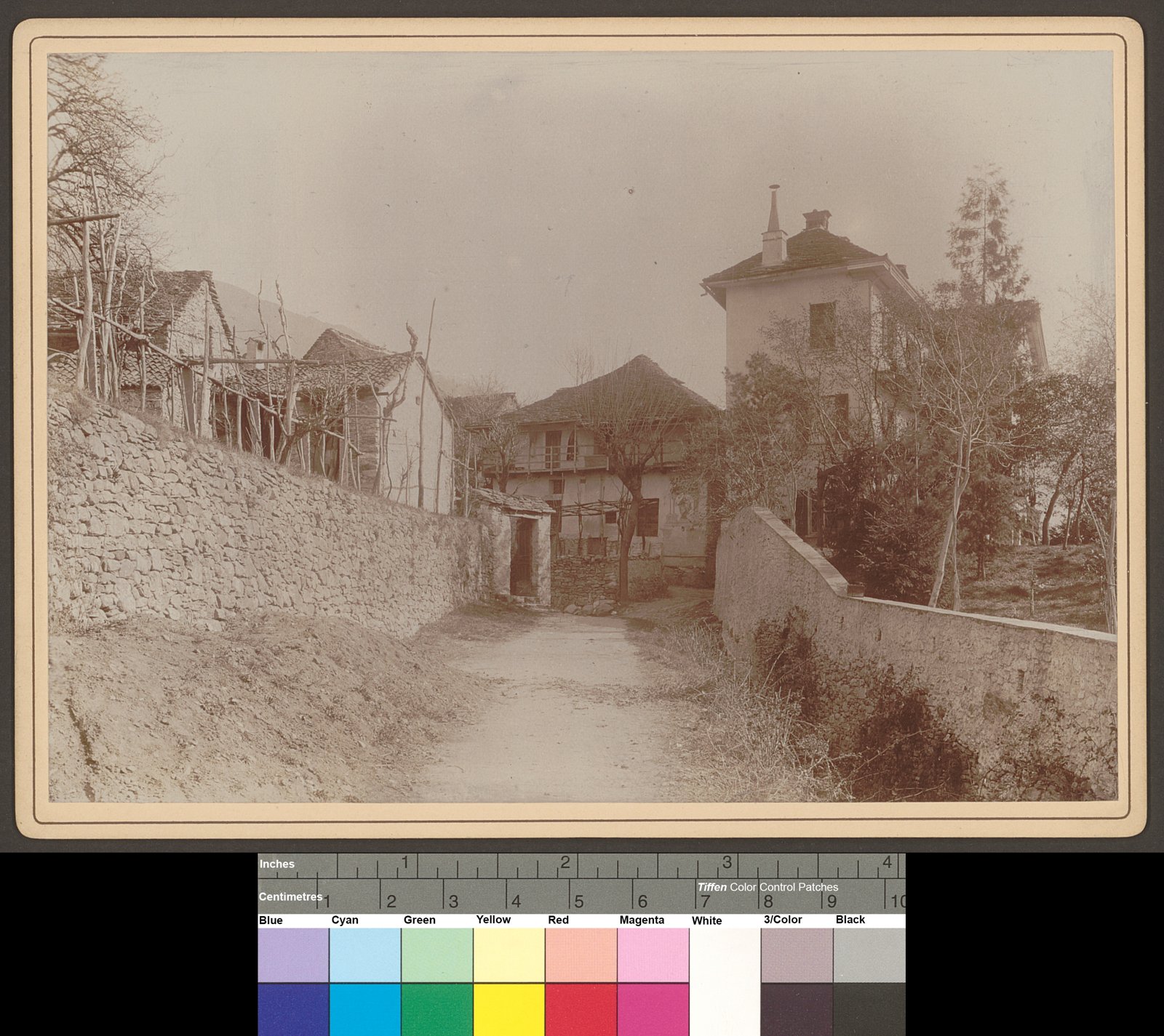 Scorcio storico del comune di Minusio (foto d'archivio 1893).