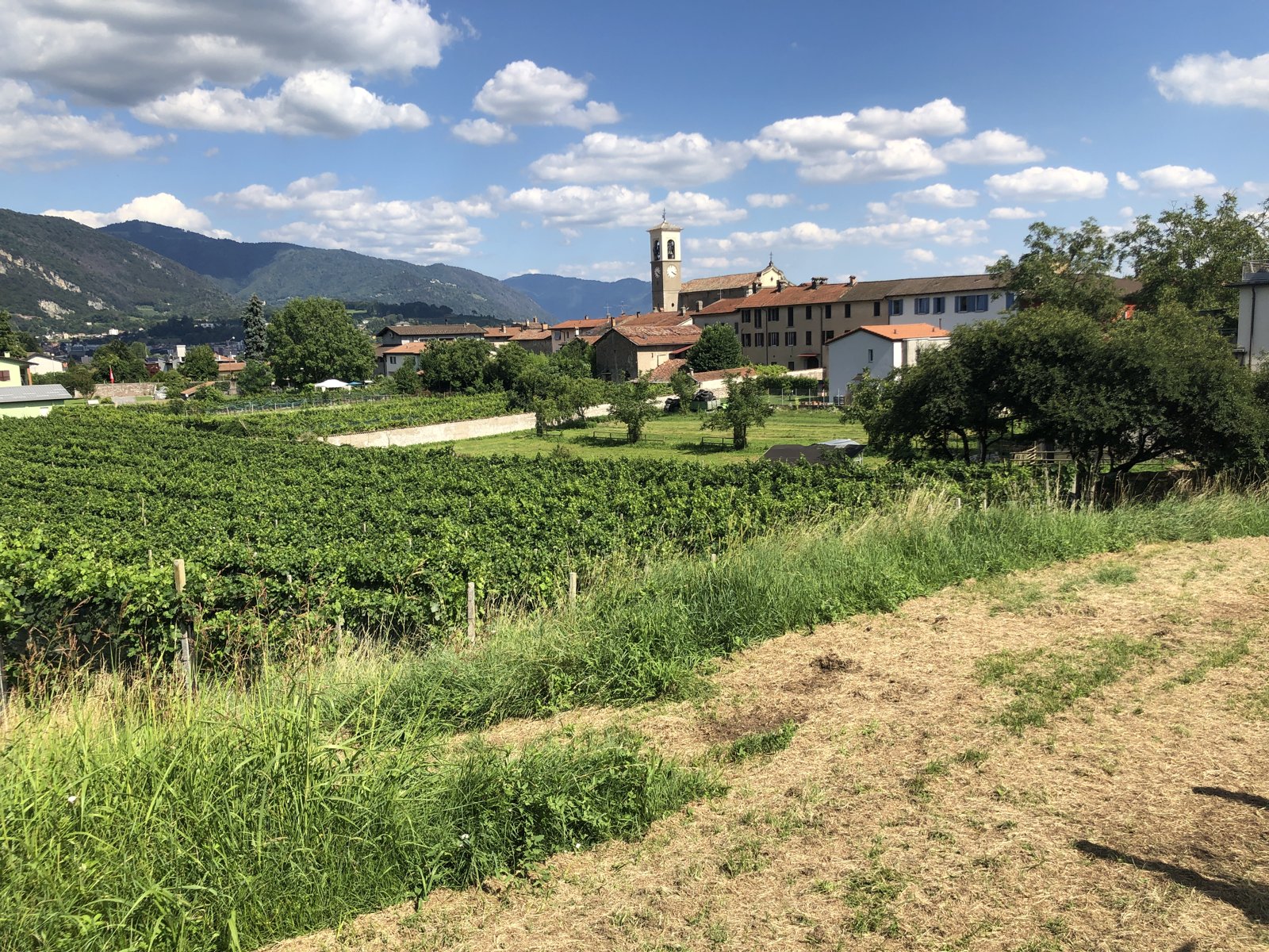 Veduta del quartiere di Ligornetto nel Comune di Mendrisio (foto d'archivio).