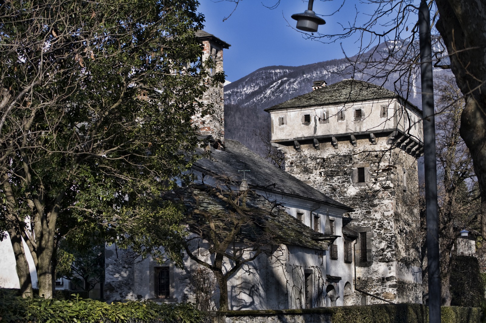 Scorcio di Minusio con alberature, foto d’archivio (2010), a illustrazione del contesto locale.