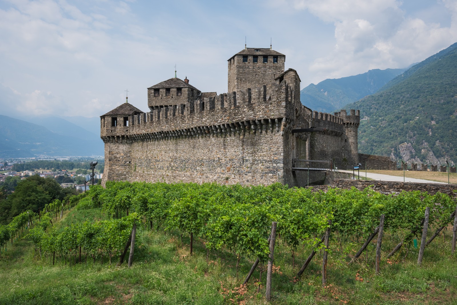 Vigneti e Castello di Montebello a Bellinzona, foto d'archivio del luglio 2026. Immagine illustrativa: non ritrae la degustazione di Savosa.