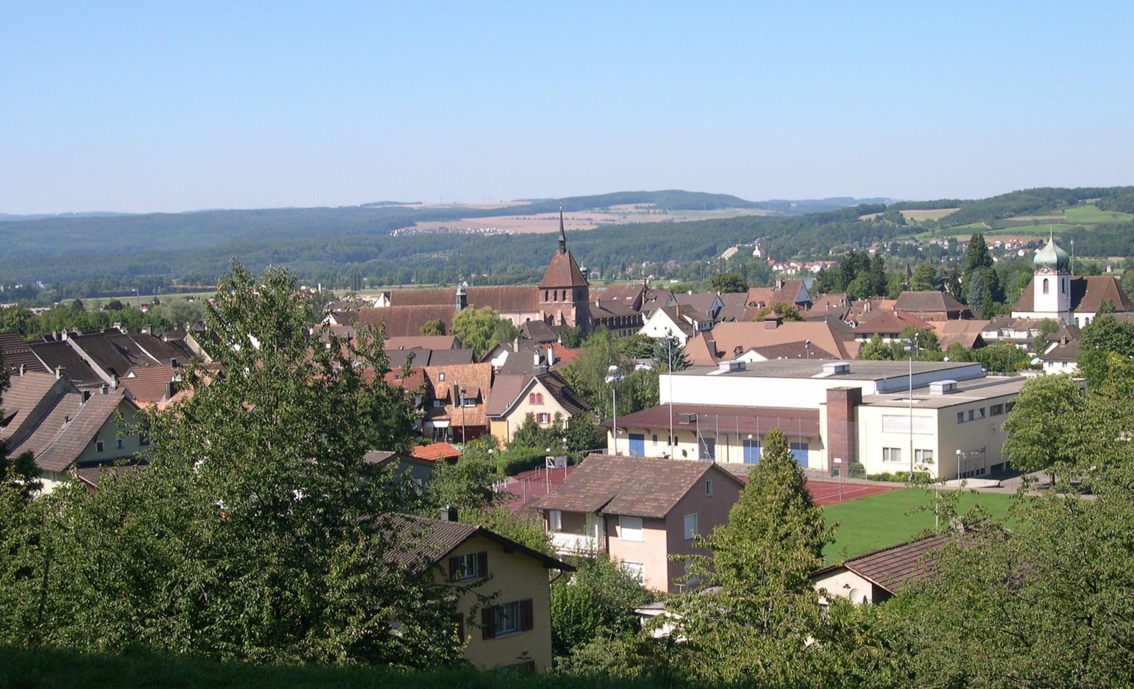 Vista panoramica di Bad Zurzach, il comune del Canton Argovia teatro dell'aggressione.