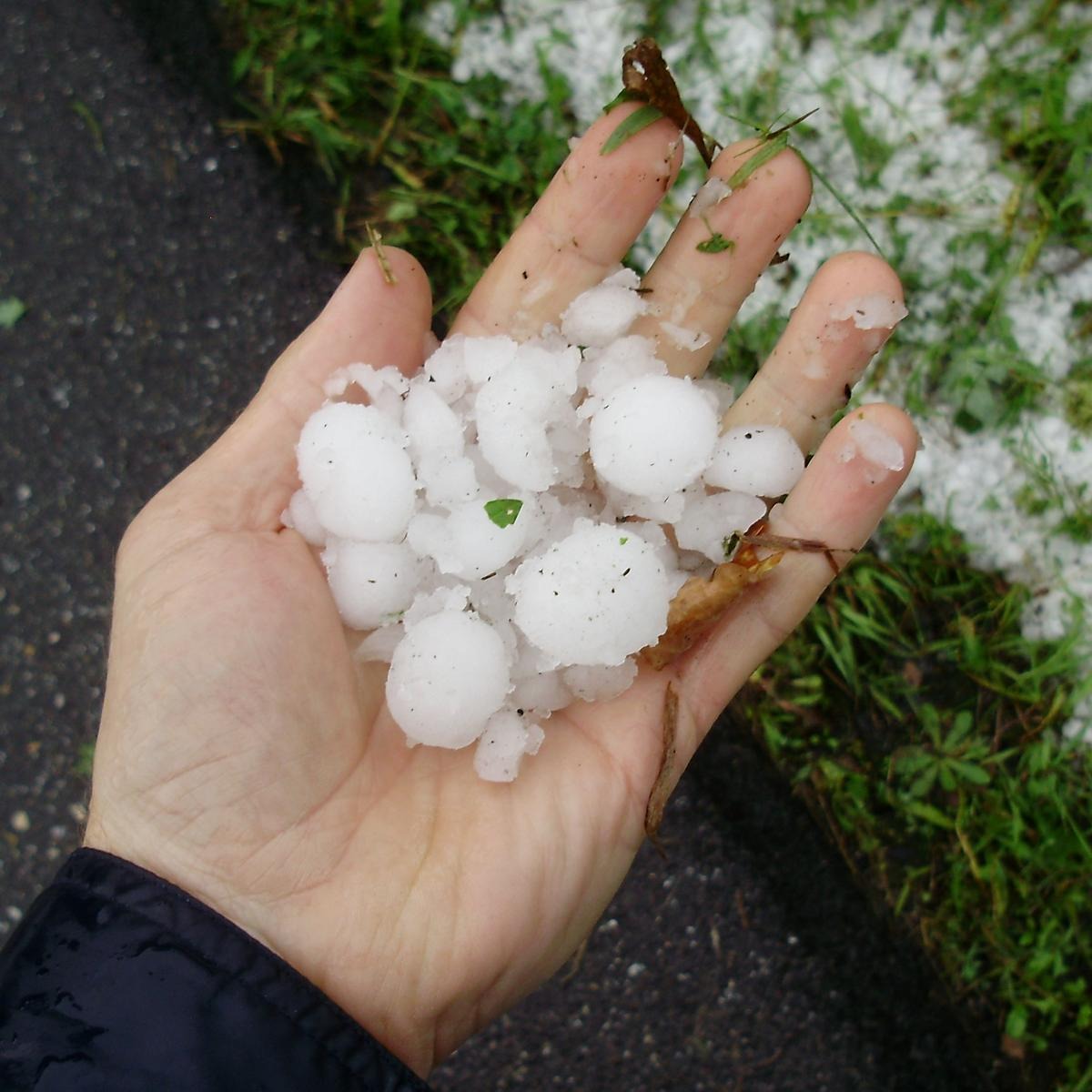 Chicchi di grandine raccolti durante un violento temporale in Svizzera.