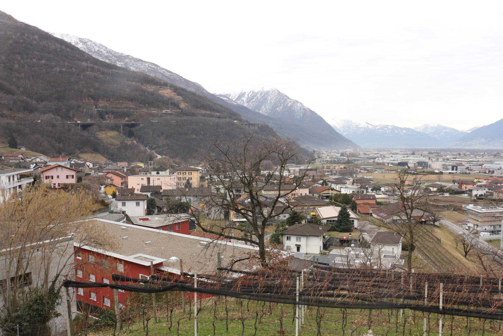 Panoramica sul comune di Sant'Antonino nel Piano di Magadino (foto d'archivio 2018)