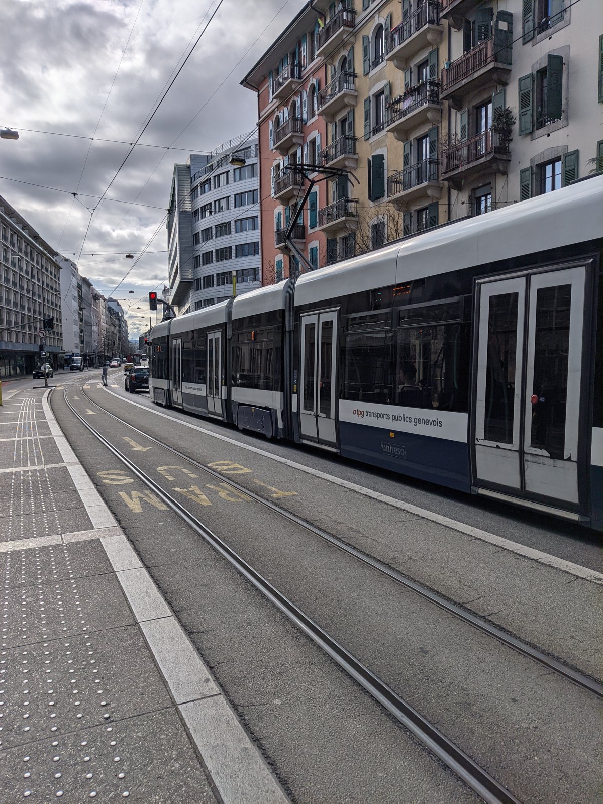 Un tram dei trasporti pubblici di Ginevra. L'animale è atterrato sul tetto di un convoglio alla fermata Servette (foto d'archivio).