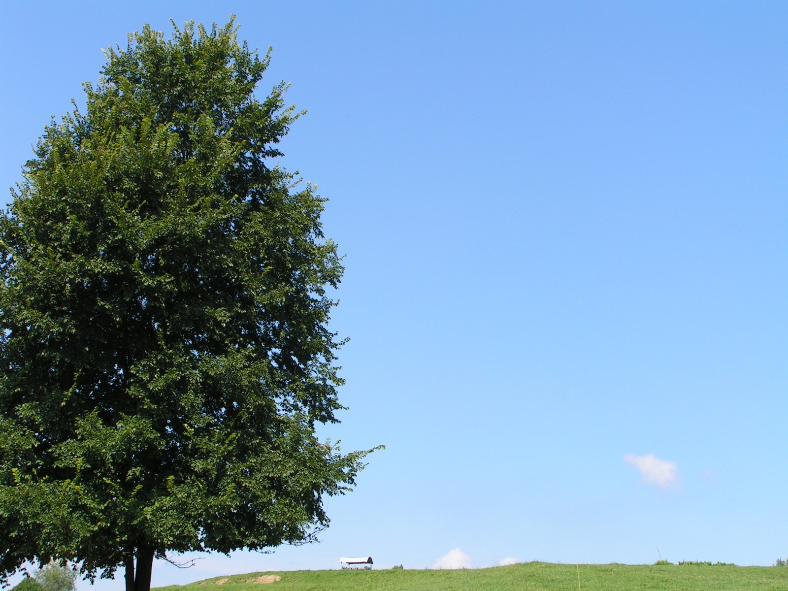 Paesaggio a Coldrerio, foto d’archivio del 2008. Immagine illustrativa, ridimensionata. Licenza: https://creativecommons.org/licenses/by/3.0/ — Fonte: https://commons.wikimedia.org/wiki/File:Panorama_della_costa_-_panoramio.jpg