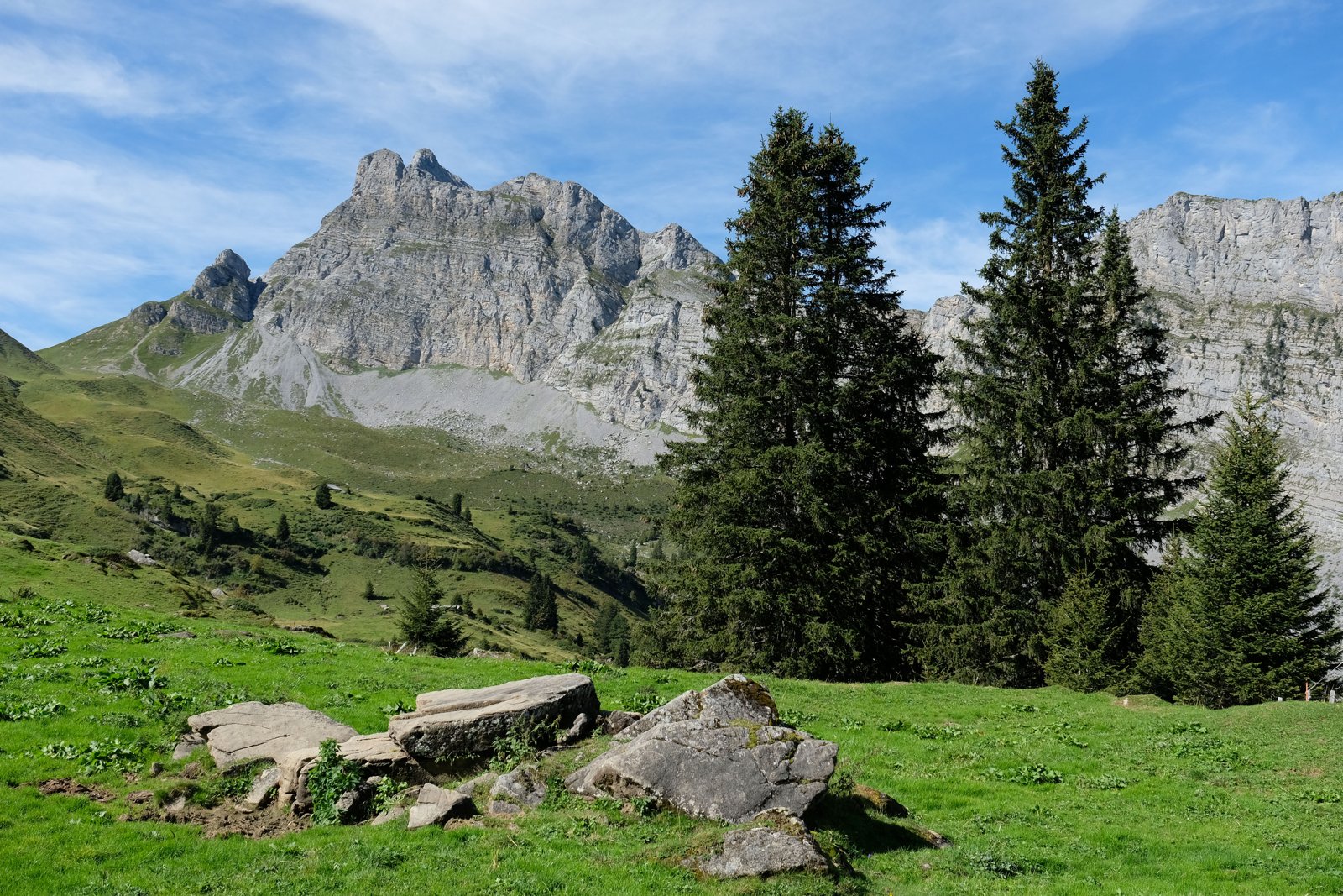 Scorcio paesaggistico del Diemtigtal nel Canton Berna (foto illustrativa)