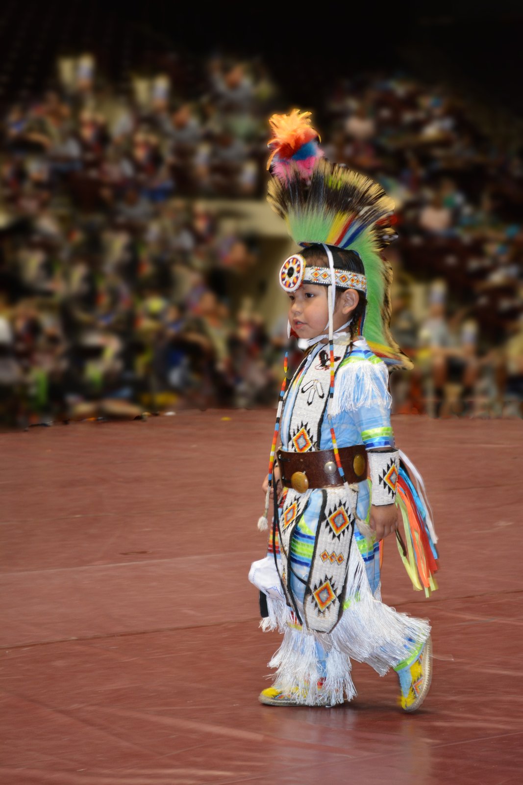 Un danzatore nativo americano durante una rappresentazione di danza tradizionale.