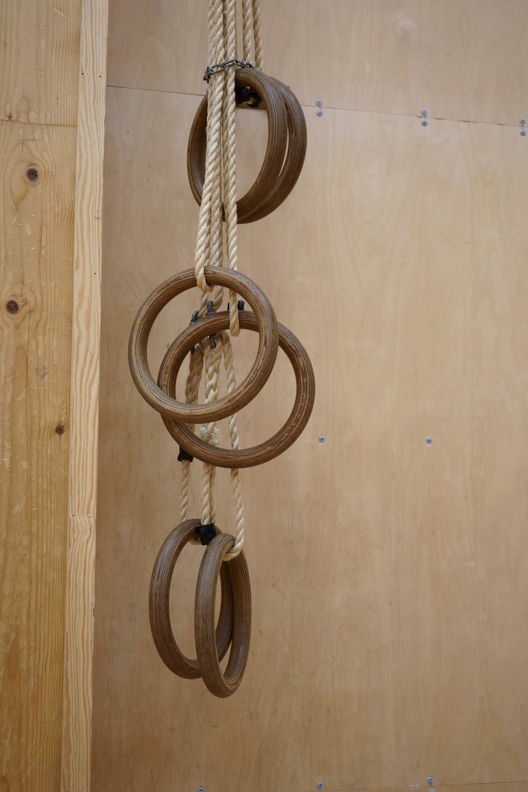 Anelli da ginnastica in una palestra scolastica: immagine di repertorio del 2019, non riferita al Memorial Gander o al Palapenz di Chiasso.