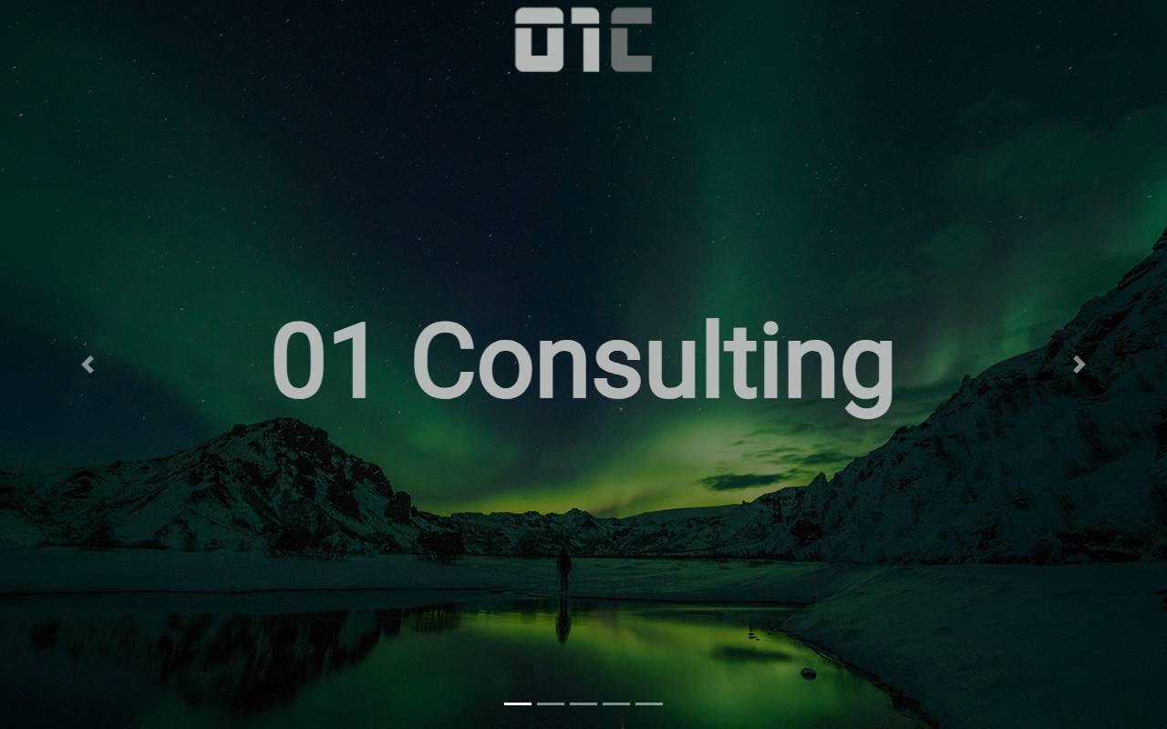 Anteprima del sito: 01 Consulting Sagl