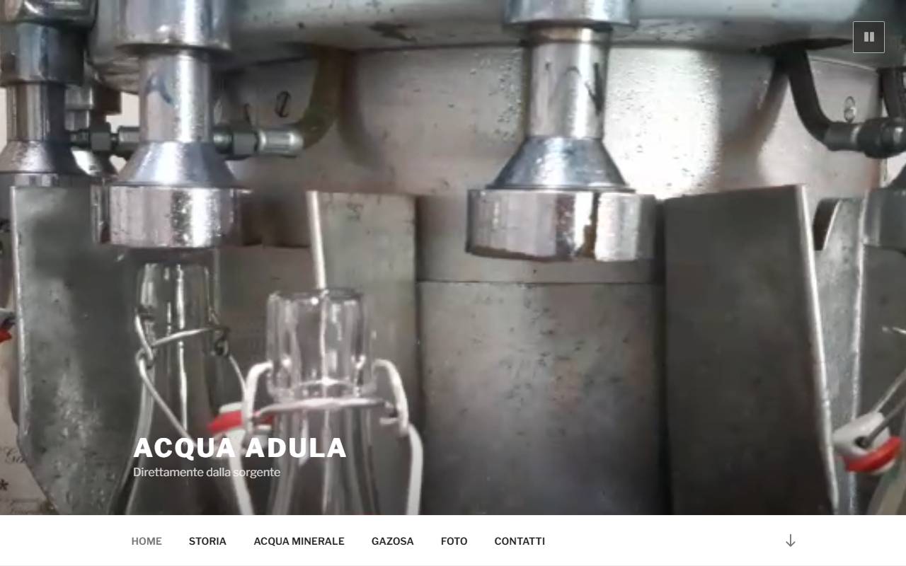 Anteprima del sito: Adula Sagl