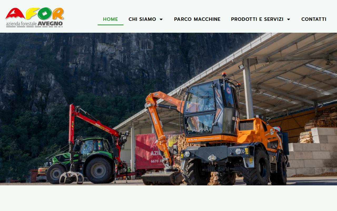 Anteprima del sito: AFOR Avegno SA