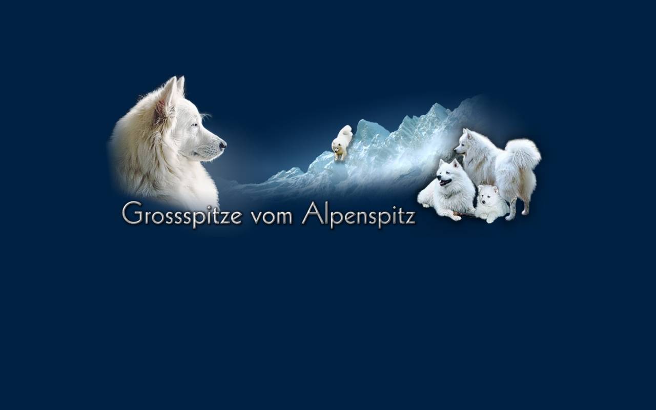 Anteprima del sito: Alpenspitz Handel SA