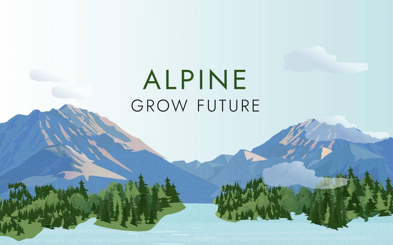 Anteprima del sito: Alpine Company SA