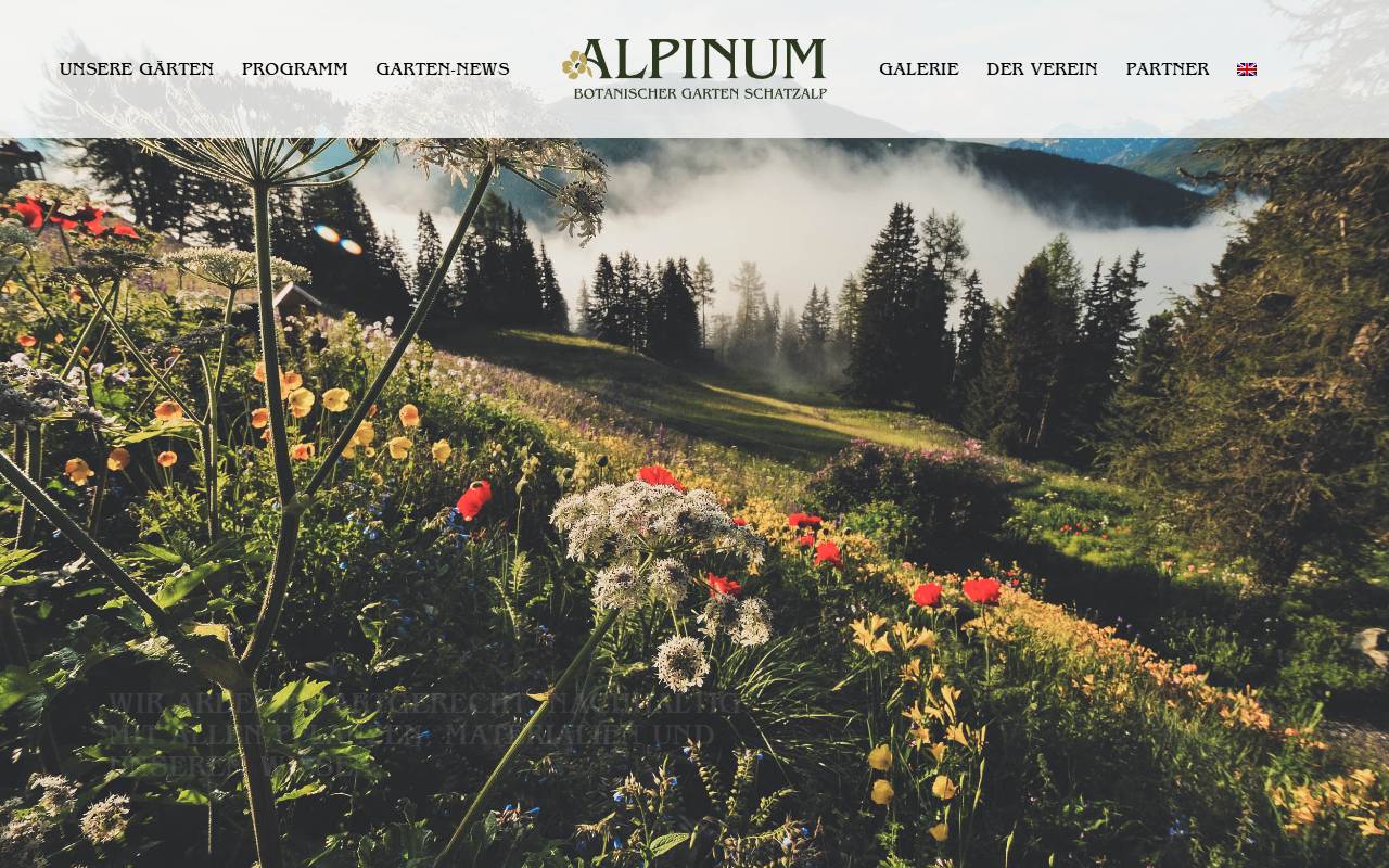 Anteprima del sito: Alpinum Group Sagl