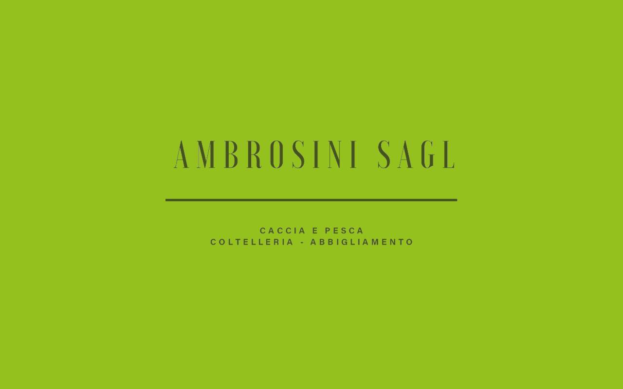 Anteprima del sito: Ambrosini Lugano Sagl