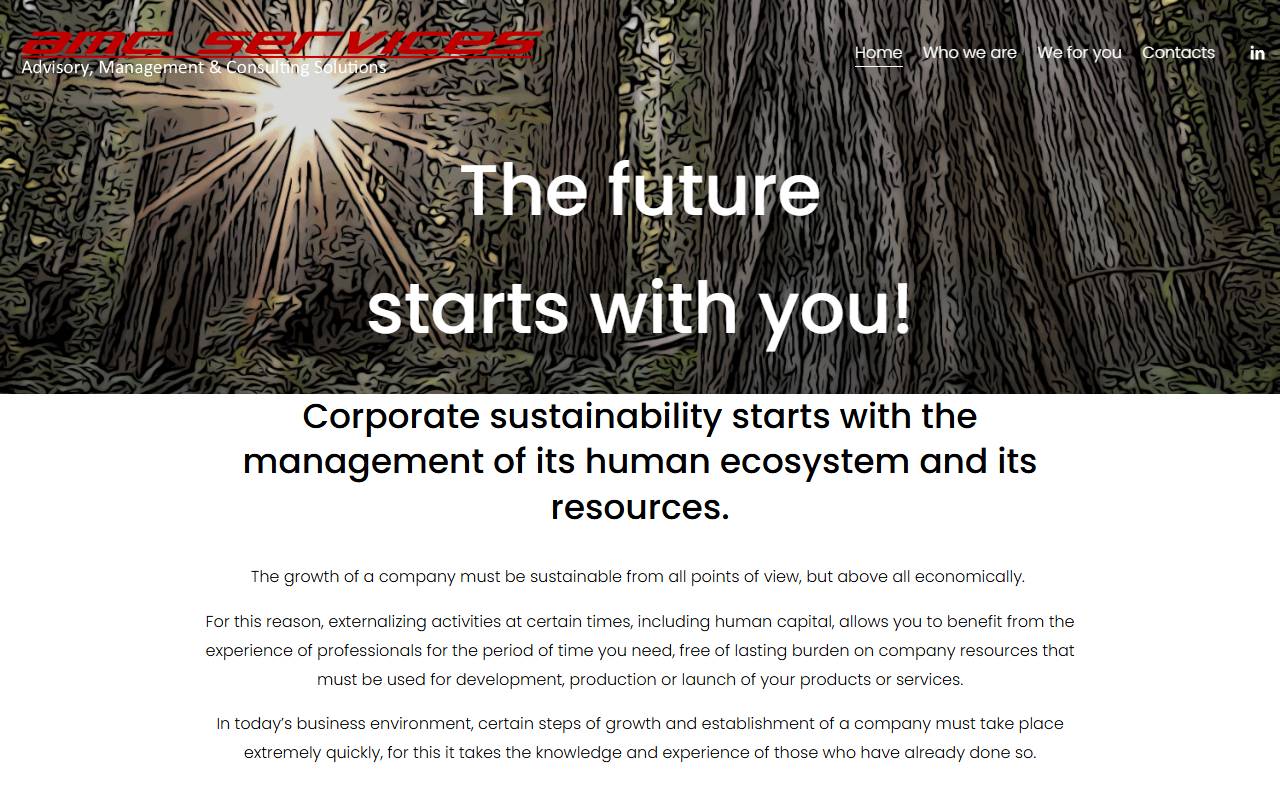 Anteprima del sito: AMC Services Sagl