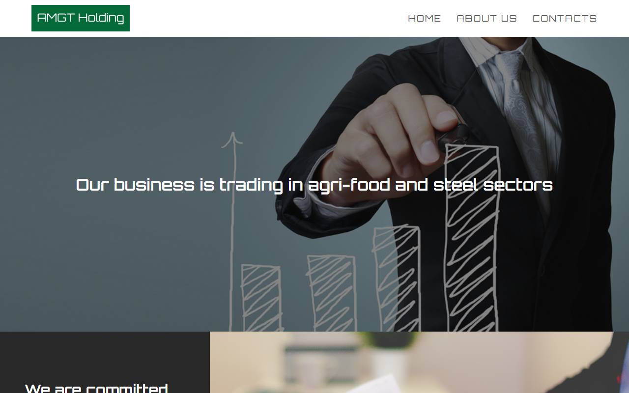 Anteprima del sito: AMGT Holding SA