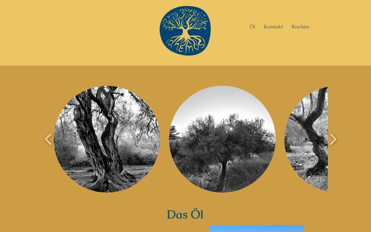 Anteprima del sito: Anemos Group Sagl