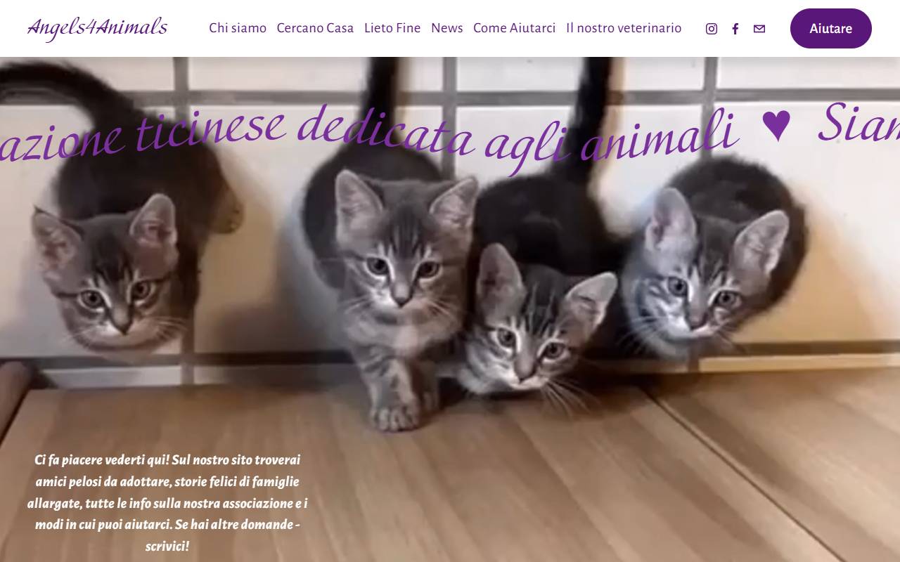 Anteprima del sito: Associazione "ANGELS 4 ANIMALS"