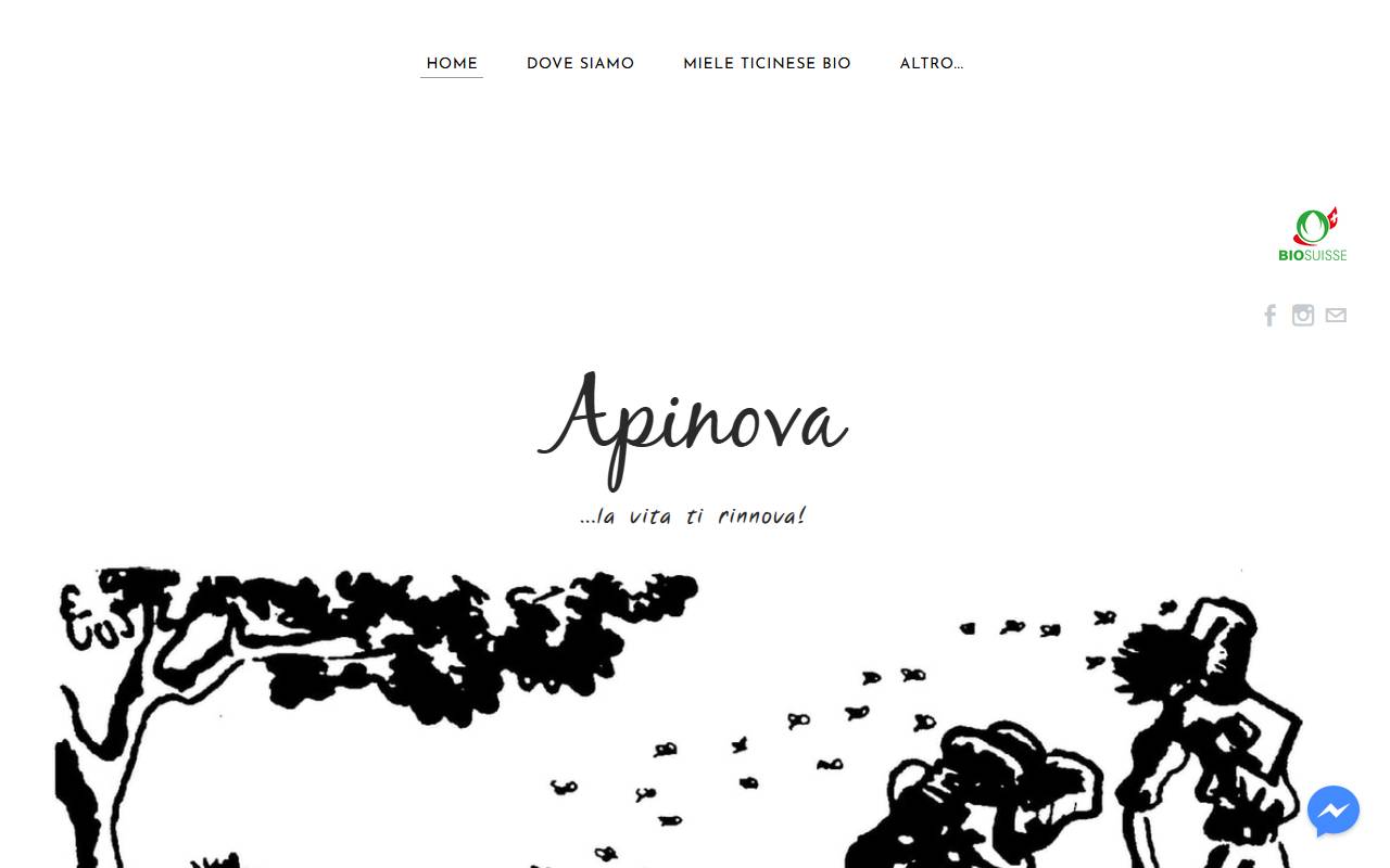 Anteprima del sito: Apinova Sagl