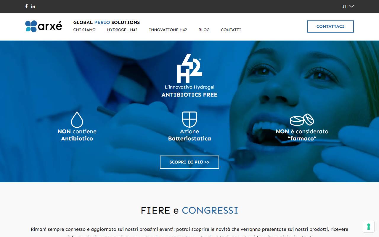 Anteprima del sito: ARXÉ Sagl
