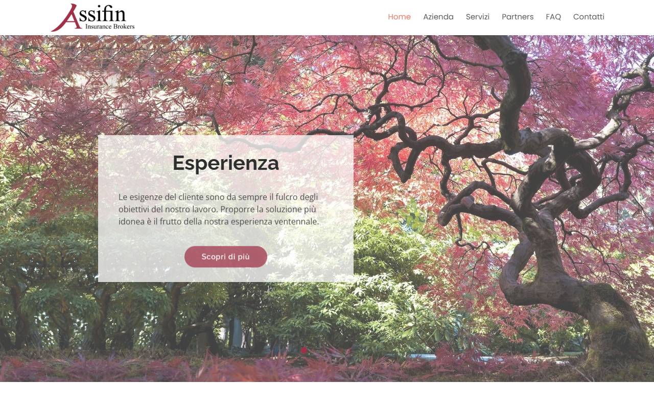 Anteprima del sito: Assifin & Partners Sagl