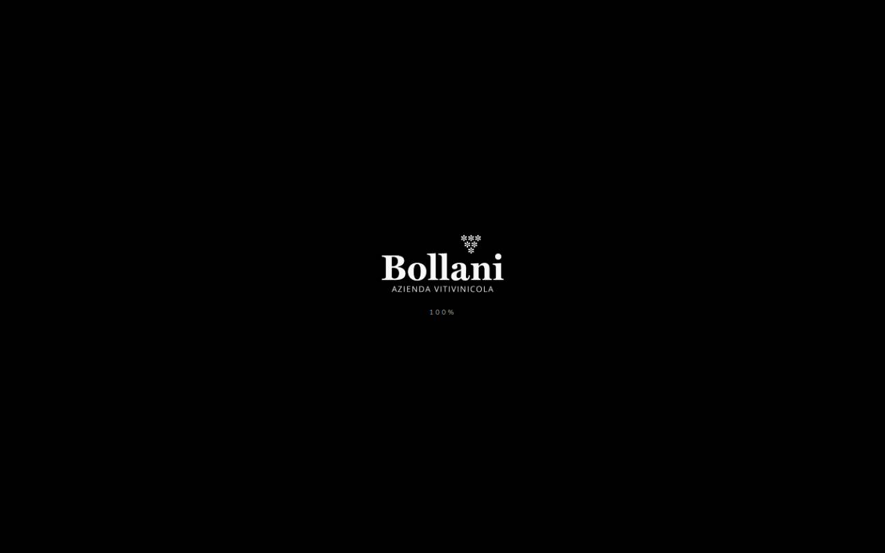 Anteprima del sito: Azienda Vitivinicola Stefano Bollani