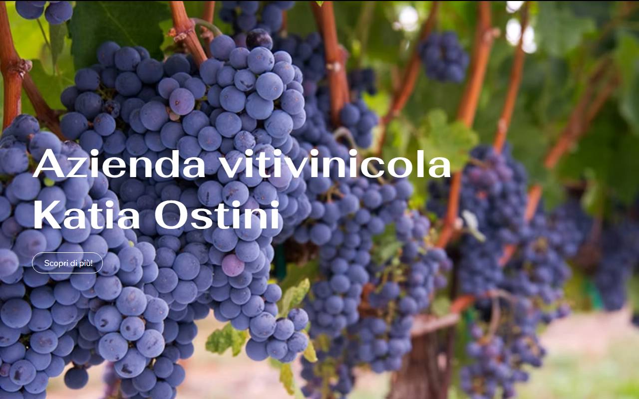 Anteprima del sito: Azienda Vitivinicola Katia Ostini