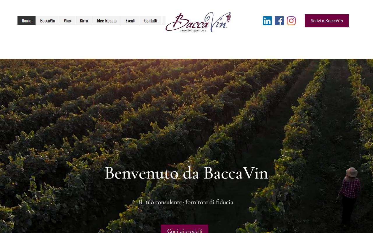 Anteprima del sito: BaccaVin di Mauro Baccarin