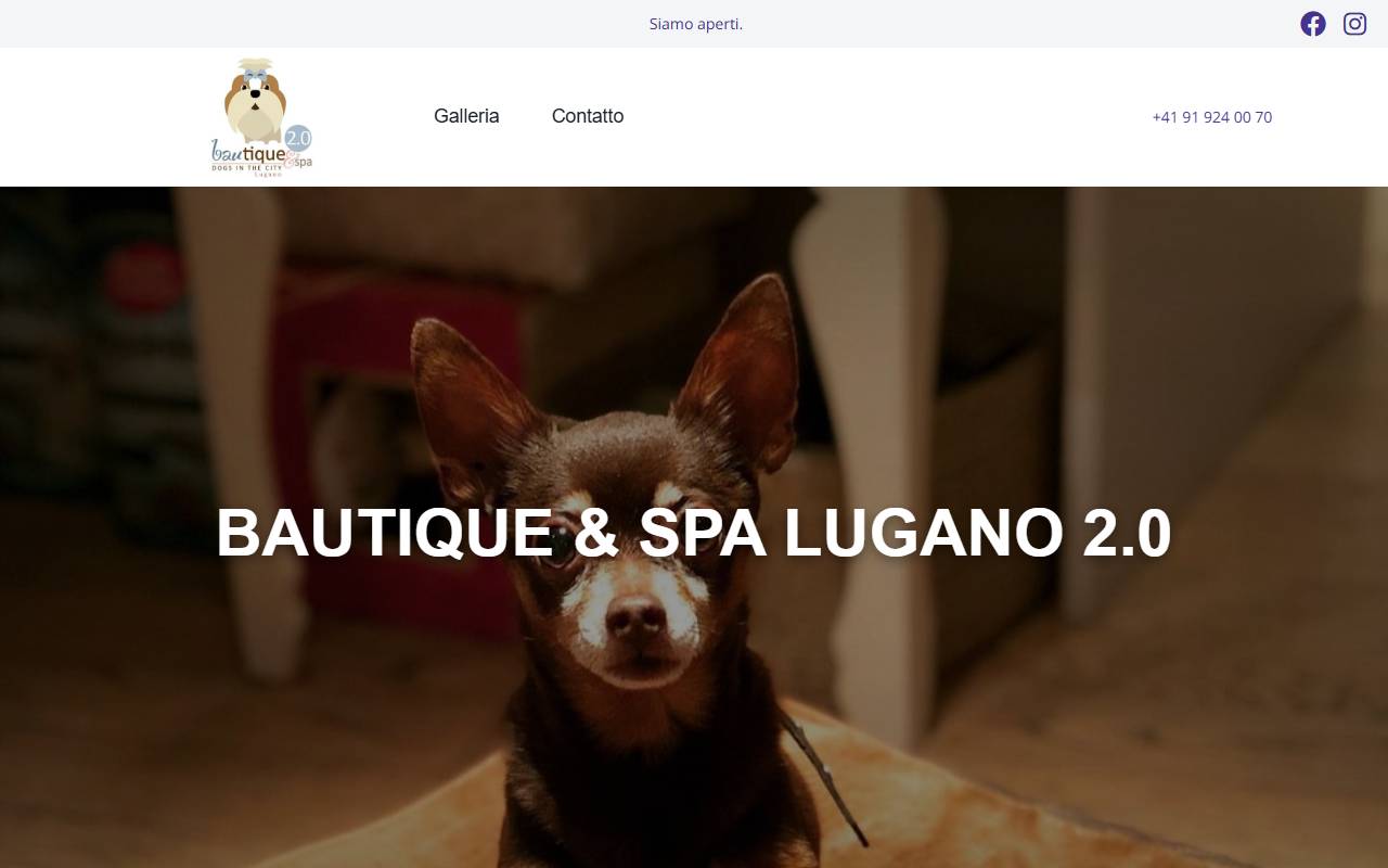 Anteprima del sito: BAUtique Sagl