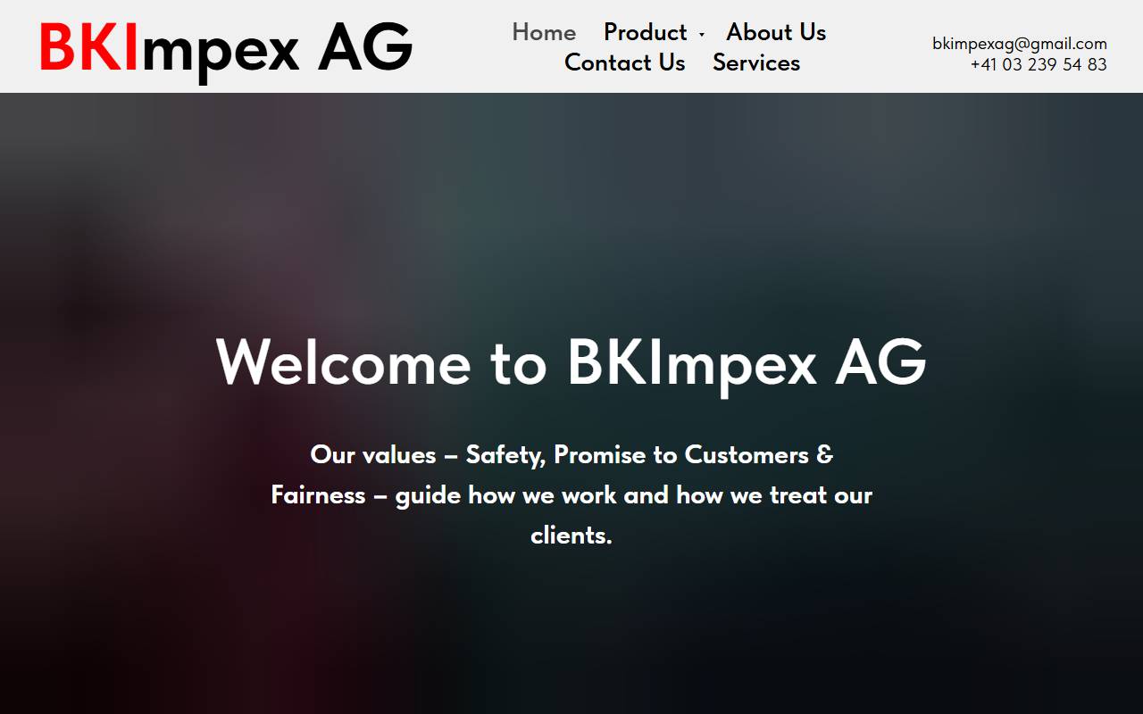 Anteprima del sito: BK Impex AG