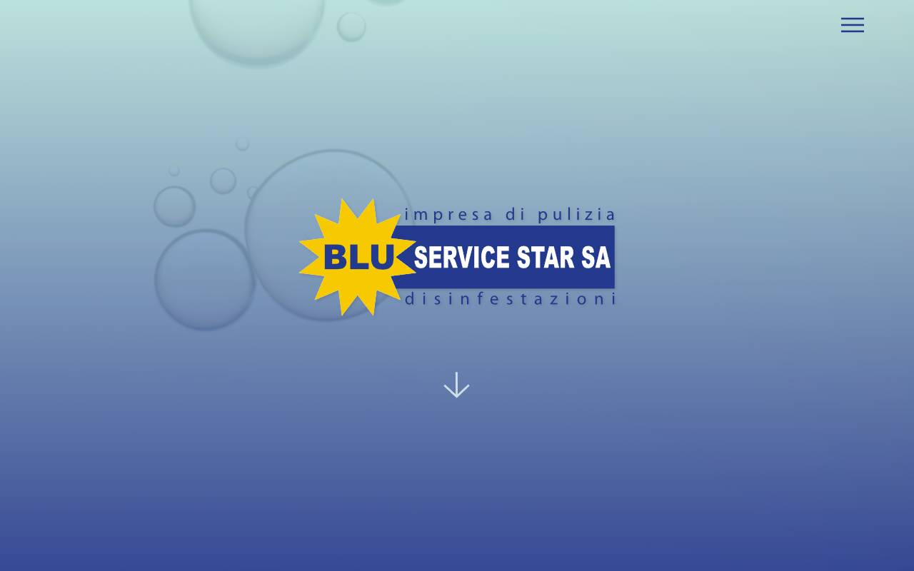 Anteprima del sito: Blu Service Star SA