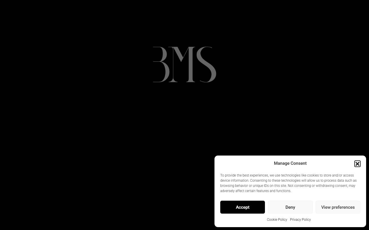 Anteprima del sito: BMS Human Resources Management Sagl