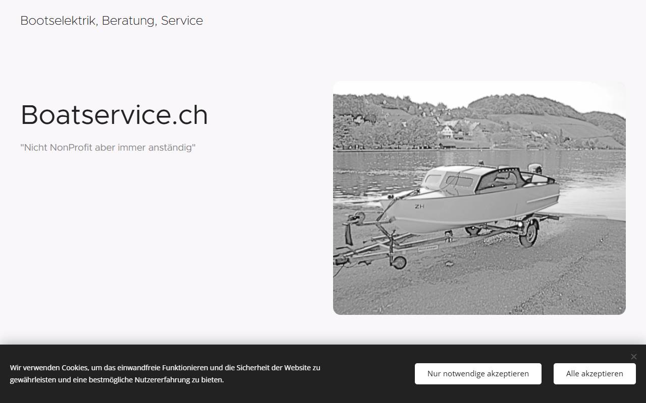 Anteprima del sito: Boat Service Sagl