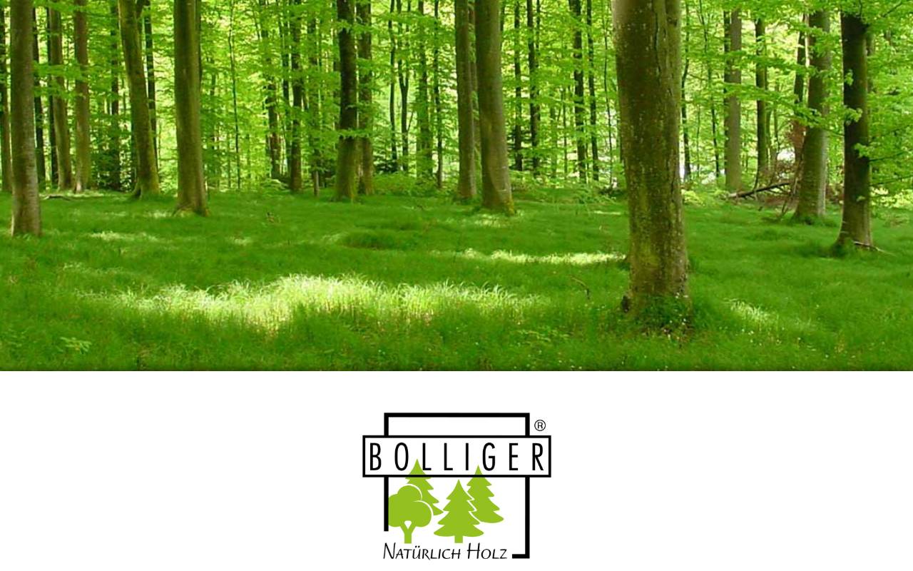Anteprima del sito: Bolliger & Tanzi SA