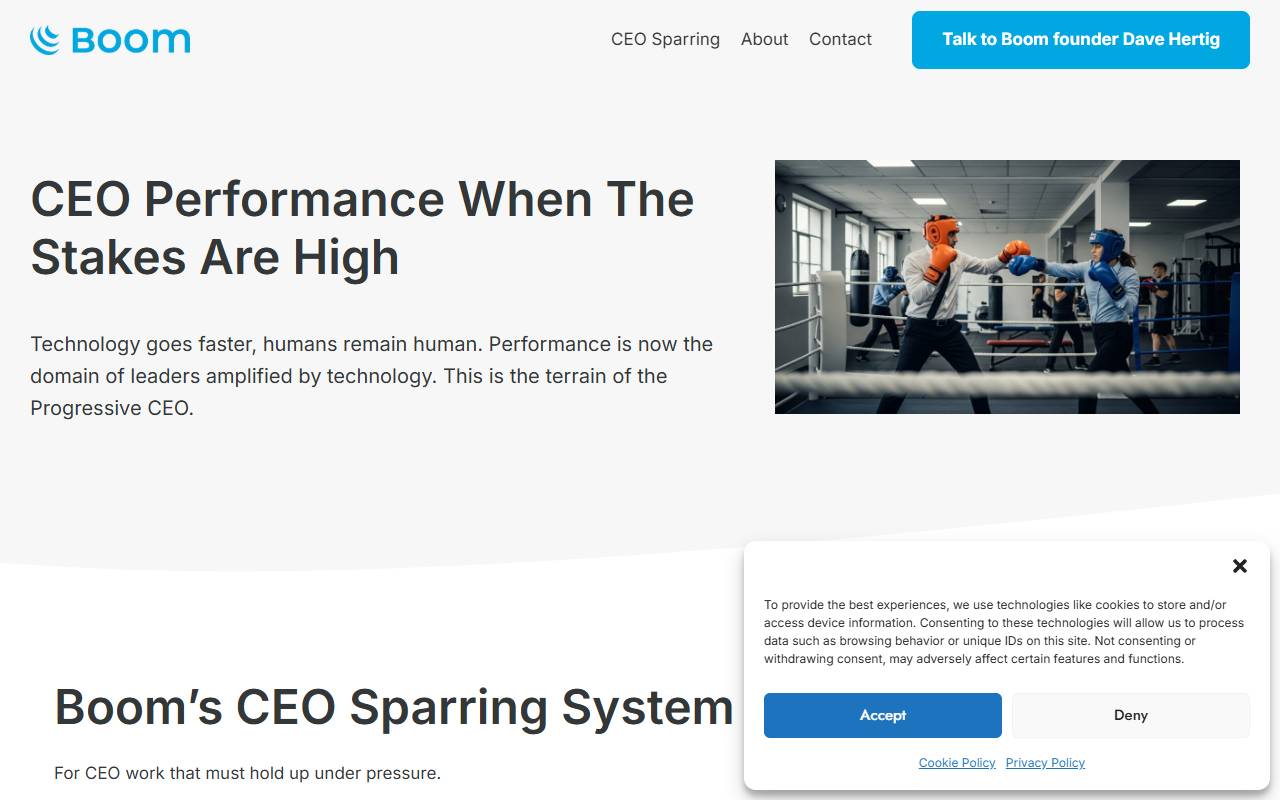 Anteprima del sito: Boom & Company GmbH