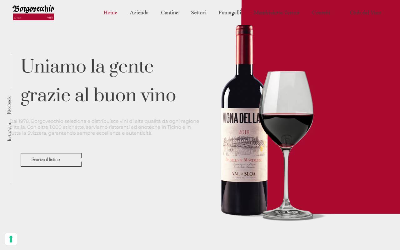 Anteprima del sito: Borgovecchio SA