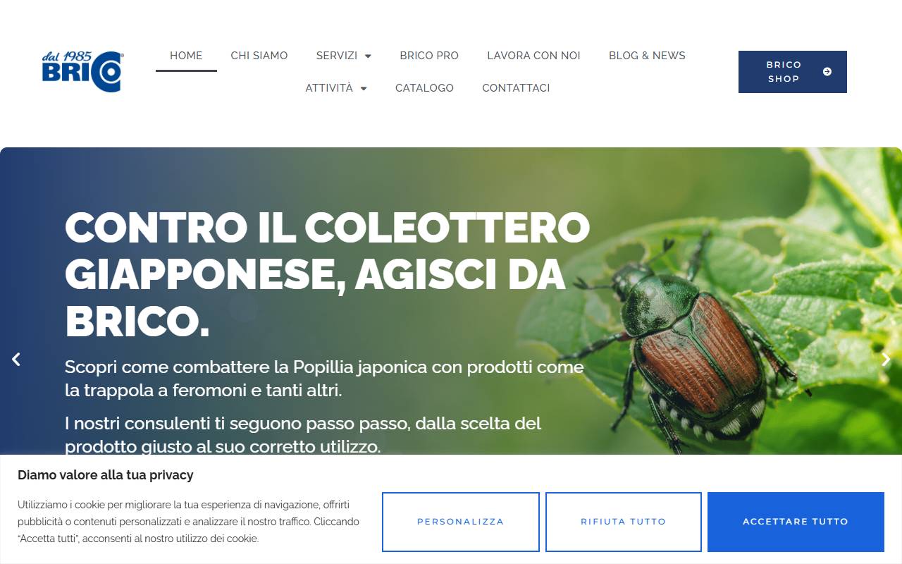 Anteprima del sito: Brico SA