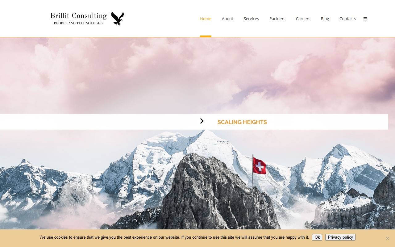 Anteprima del sito: BRILLIT CONSULTING SAGL