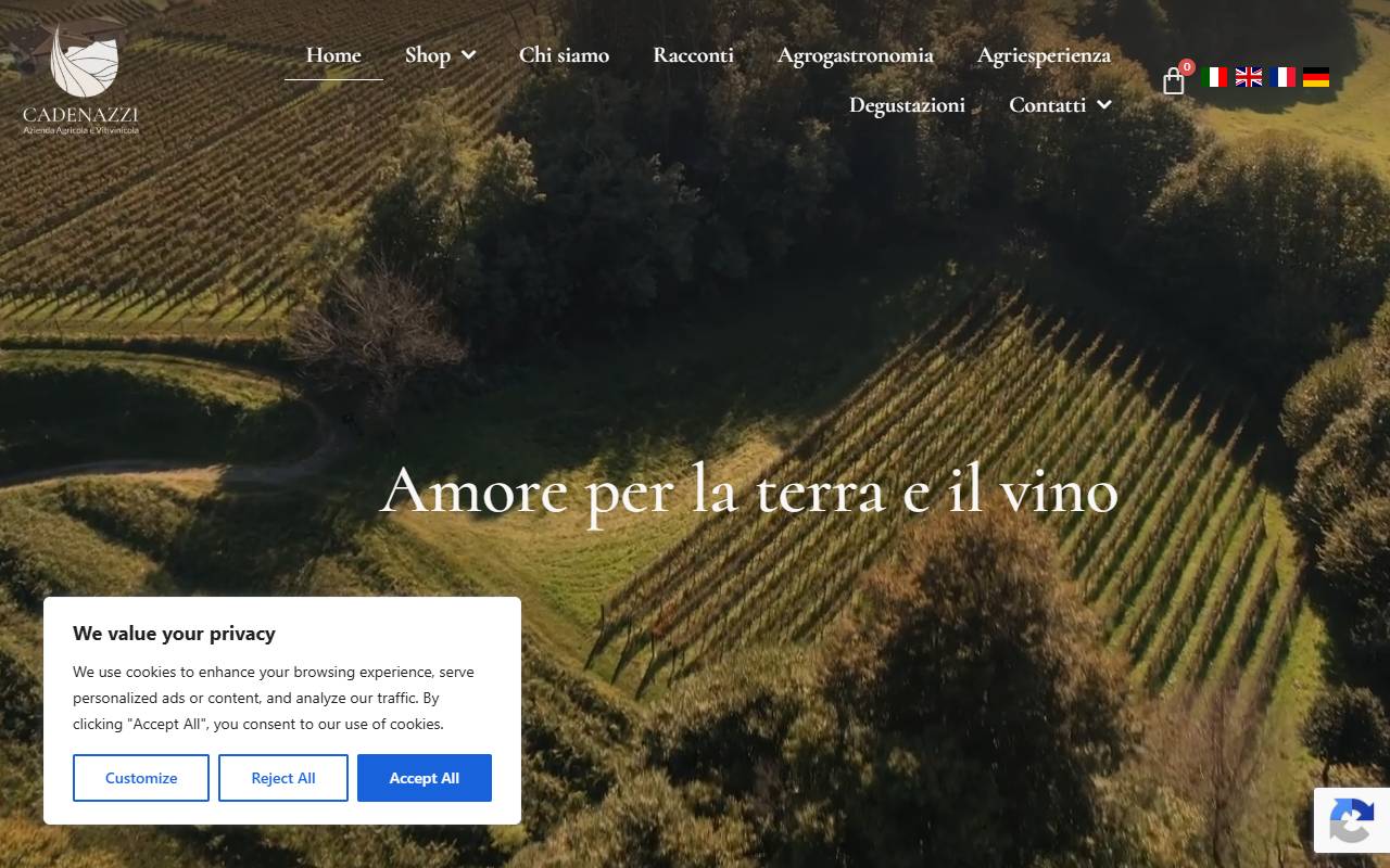 Anteprima del sito: Cadenazzi Davide