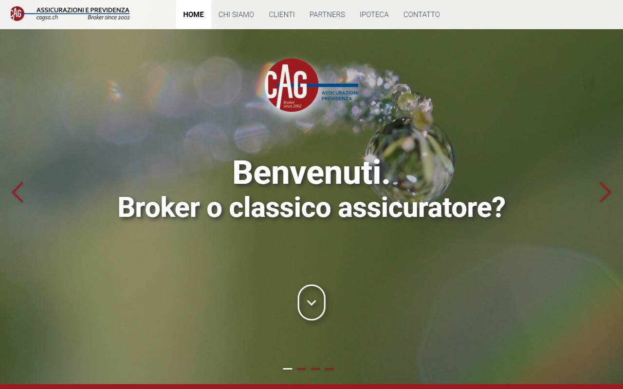 Anteprima del sito: Consulenza Assicurativa Globale SA