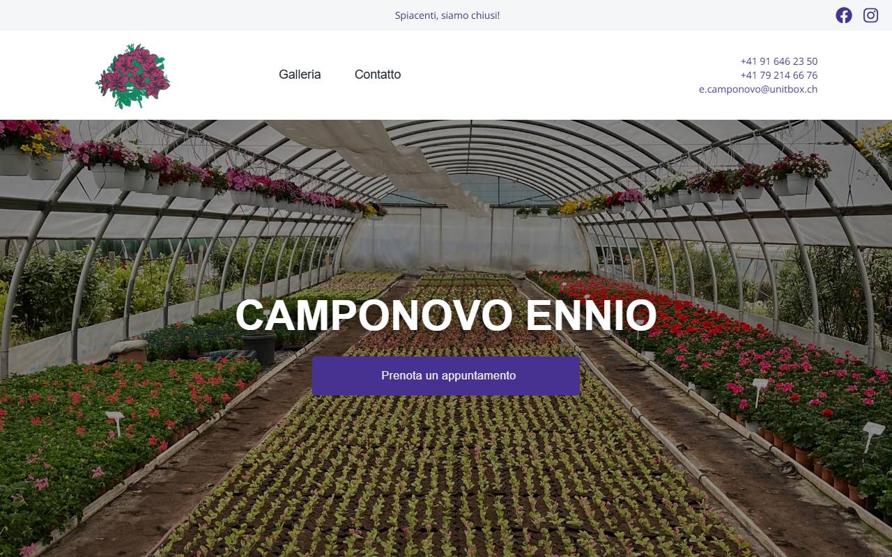 Anteprima del sito: Ennio Camponovo