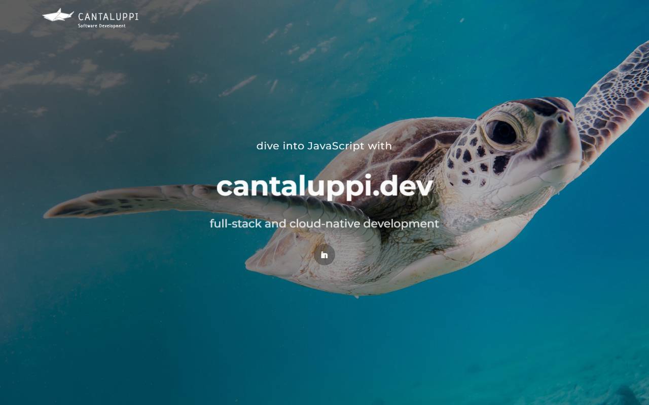 Anteprima del sito: Cantaluppi Sagl