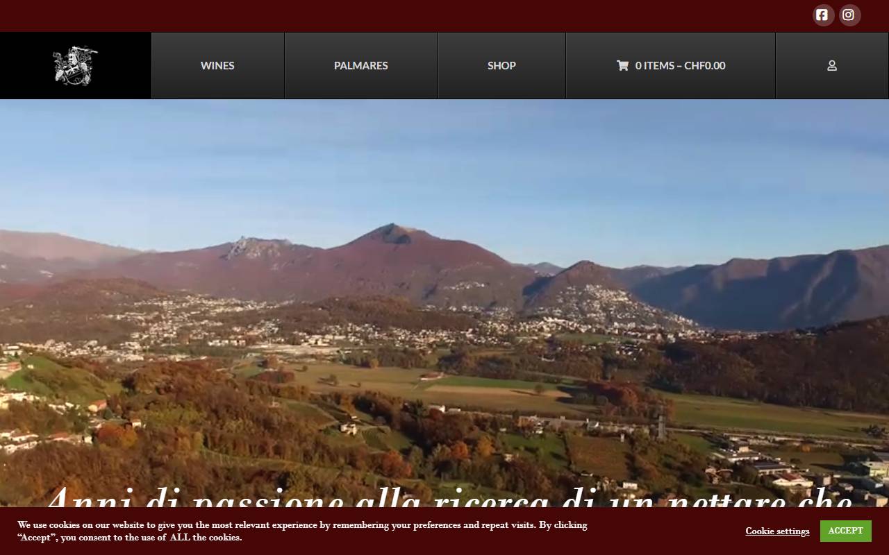 Anteprima del sito: Cantina Monti Sagl