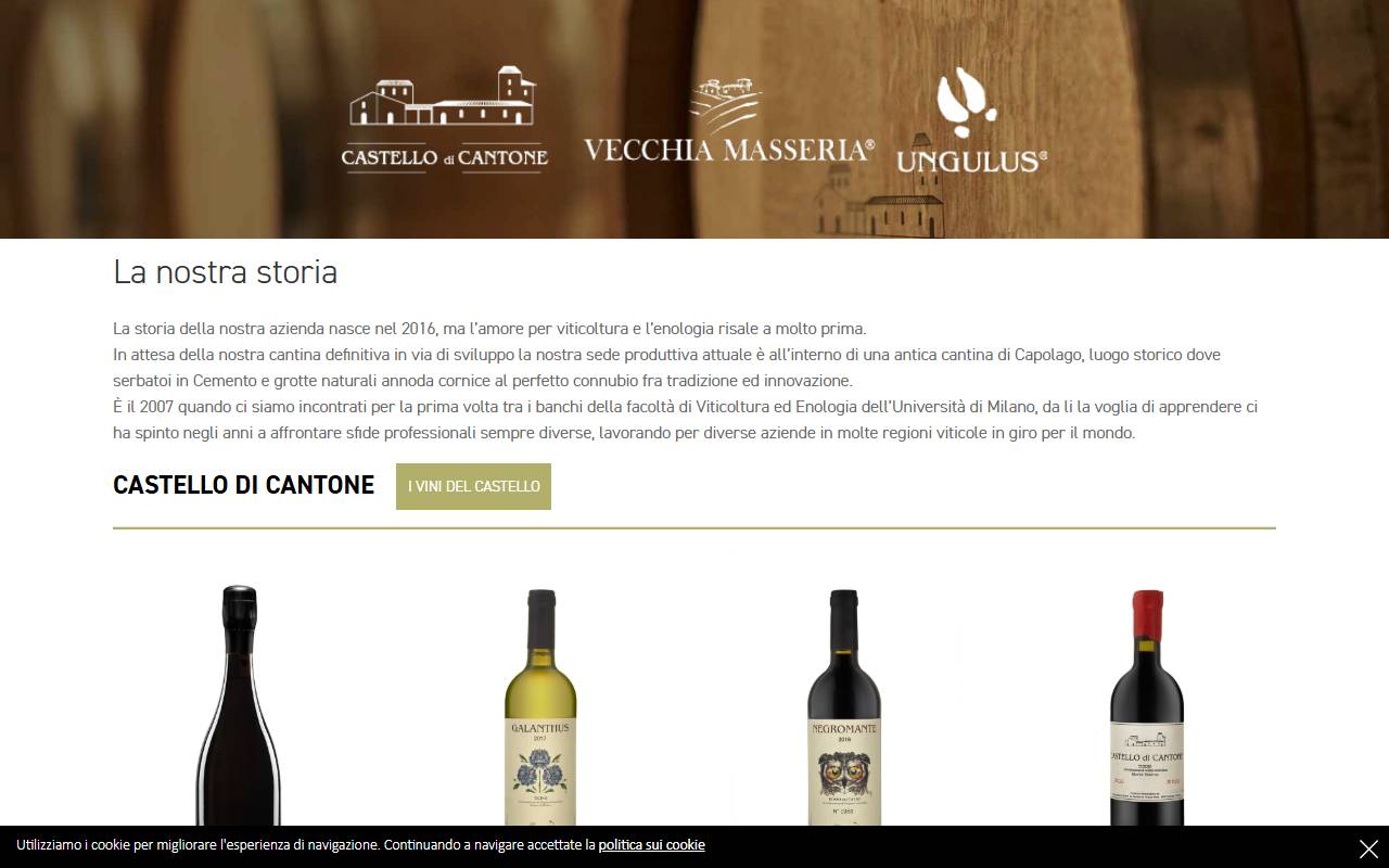 Anteprima del sito: Castello di Cantone SA