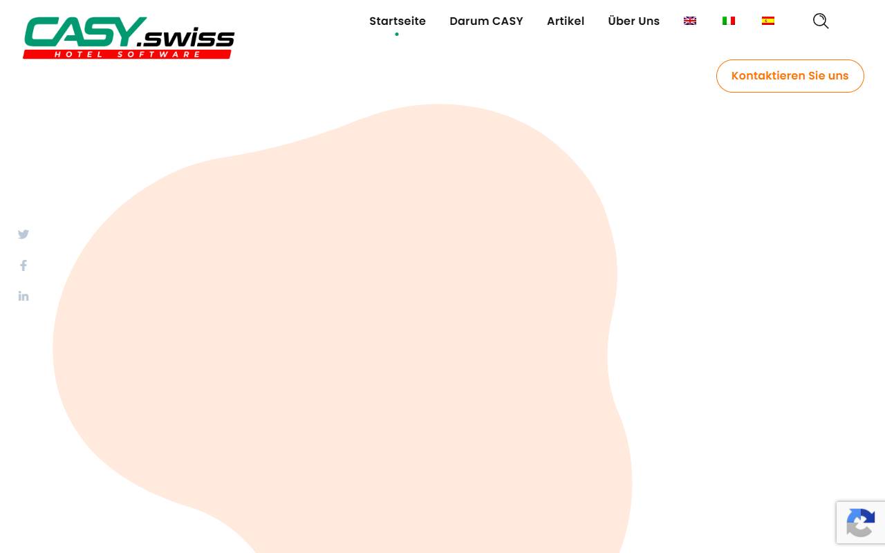 Anteprima del sito: Casy Software Solutions Sagl